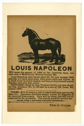 Cartel publicitario del caballo de tiro Louis Napoleon para servicio, 1894